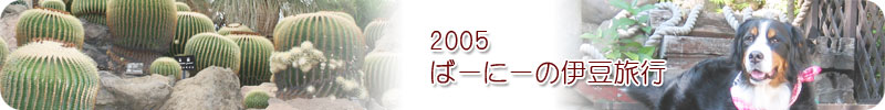 2005 ΁[Ɂ[̈ɓs
