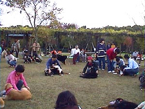 �w�����A���������ł����x